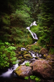 Waterfall near Lake Quinault
